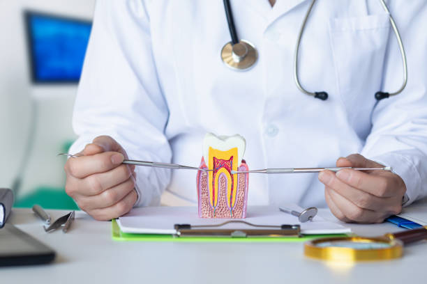 Best Emergency Wisdom Tooth Extraction in Wilson, AR